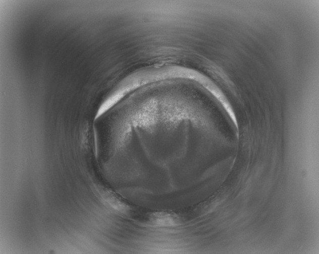 X0000073860073200608312037