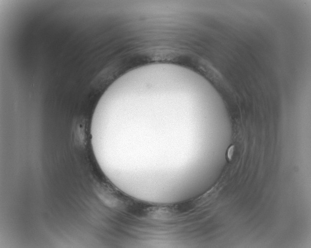 X0000073860074200608312037