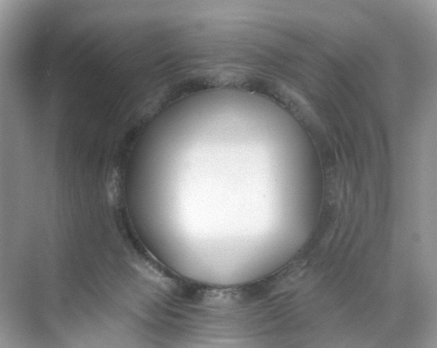 X0000073860077200608312037