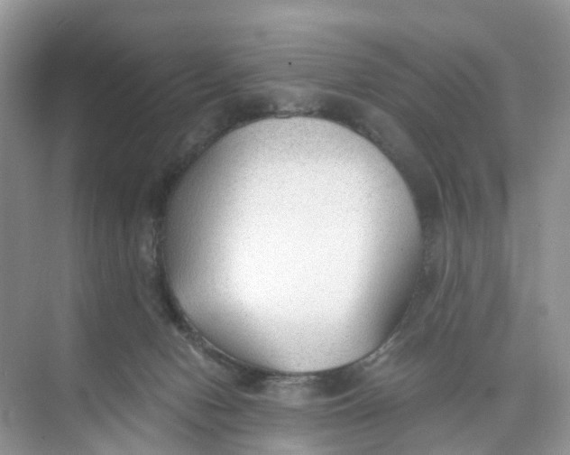 X0000073860078200608312037