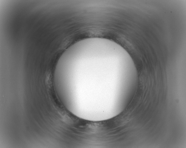 X0000073860079200608312037