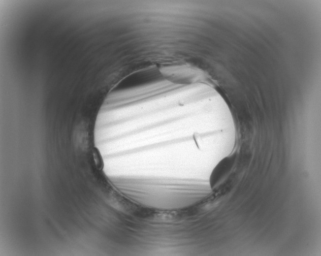 X0000073860080200608312037