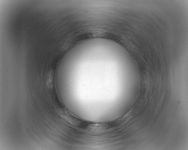 X0000073860082200608312038