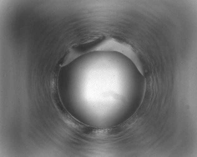 X0000073860084200608312038