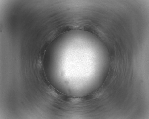 X0000073860085200608312038