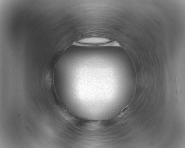 X0000073860086200608312038