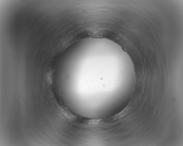 X0000073860090200608312038