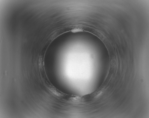 X0000073860092200608312038