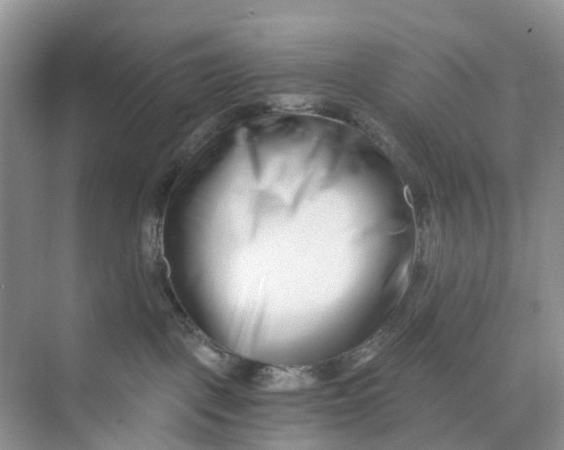 X0000073860093200608312038