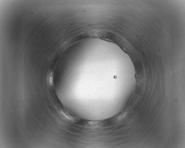 X0000073860095200608312038