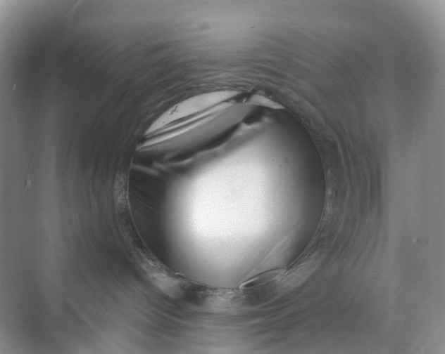 X0000073860096200608312038