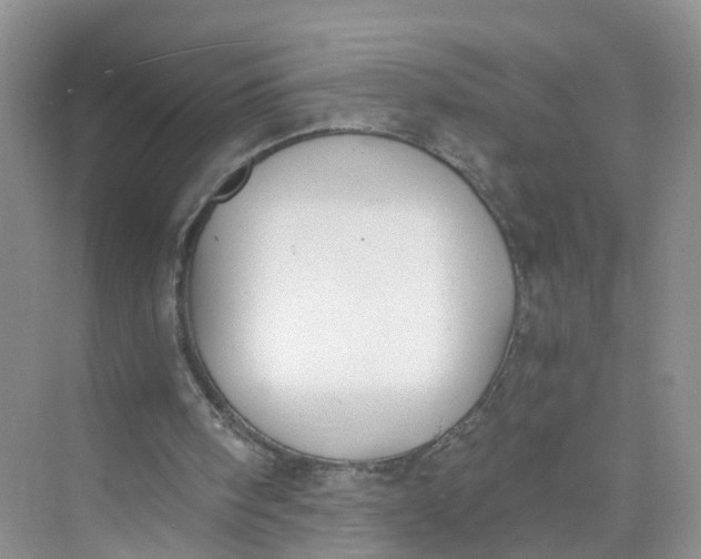 X0000073860098200608312037