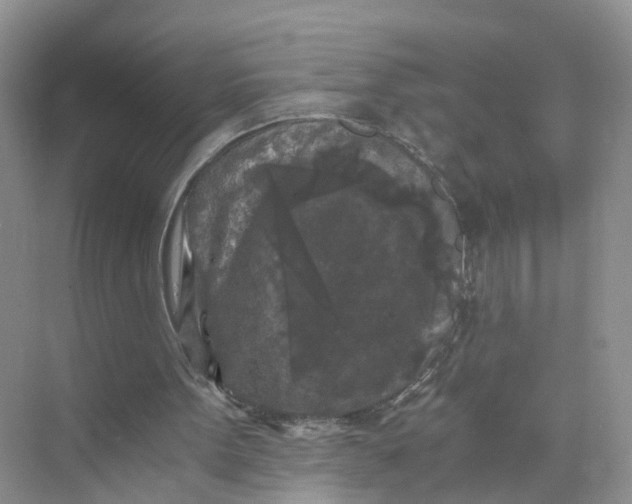 X0000073860099200608312037