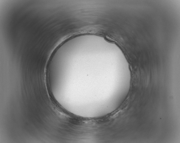 X0000073860100200608312037