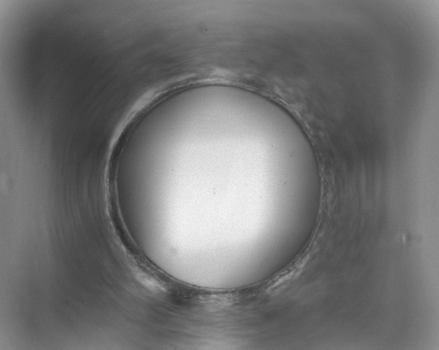 X0000073860102200608312037