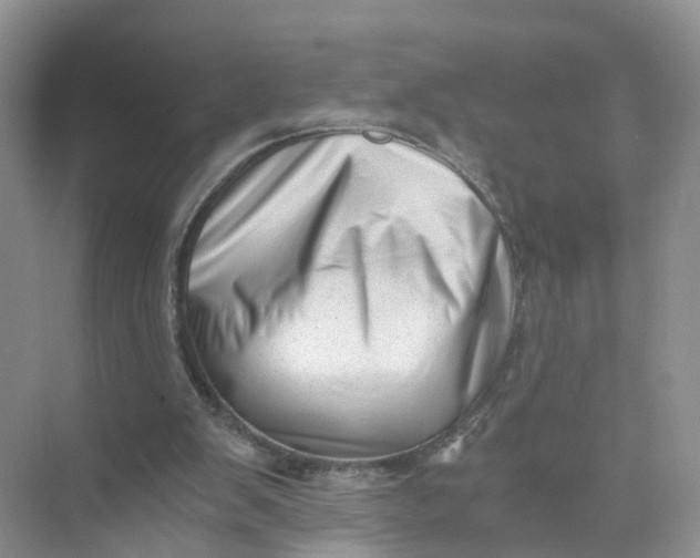 X0000073860103200608312037