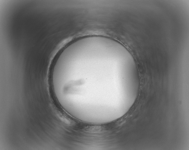 X0000073860104200608312037