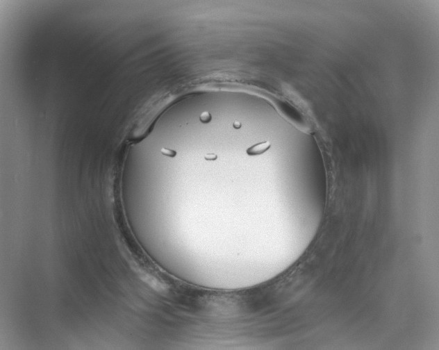 X0000073860106200608312037