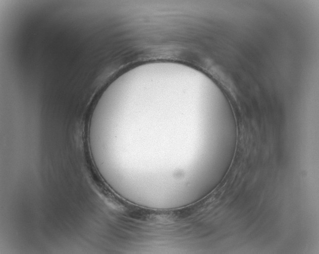 X0000073860107200608312037