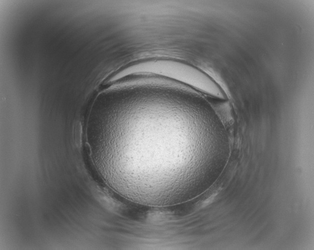 X0000073860109200608312037