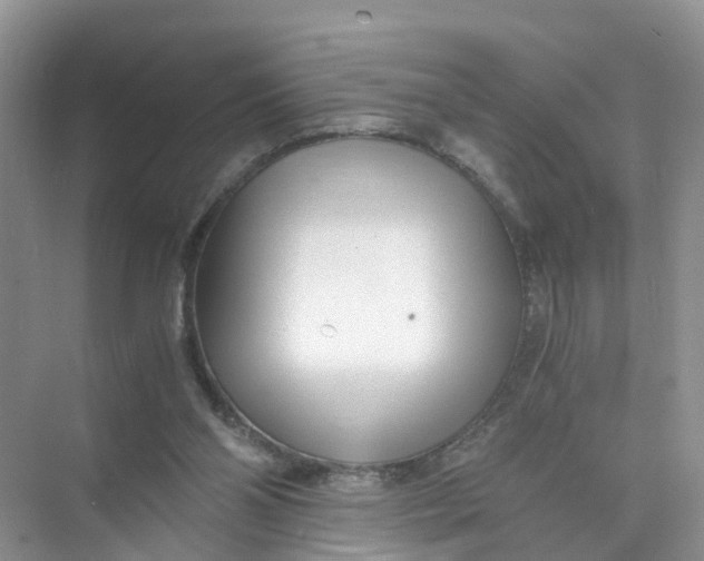 X0000073860110200608312037