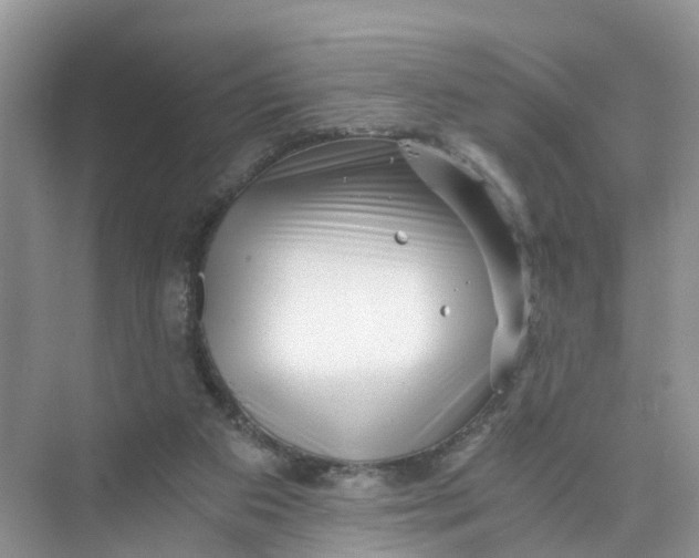 X0000073860113200608312037