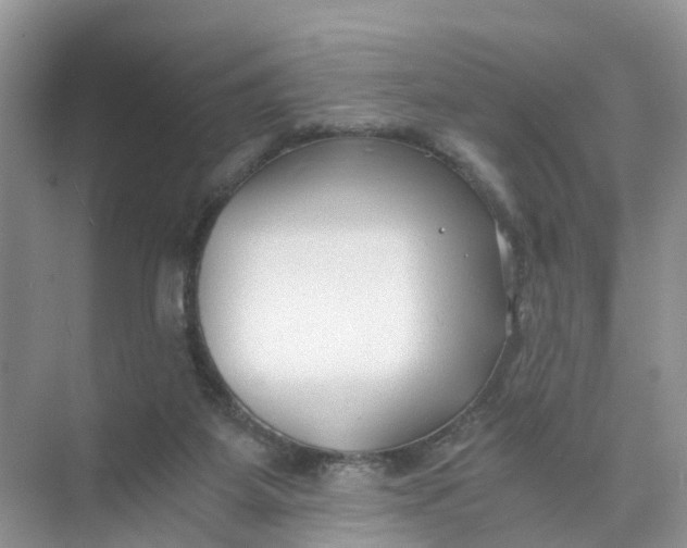 X0000073860115200608312037