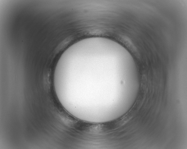 X0000073860116200608312037