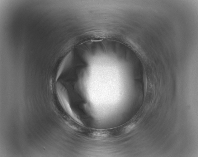 X0000073860117200608312037