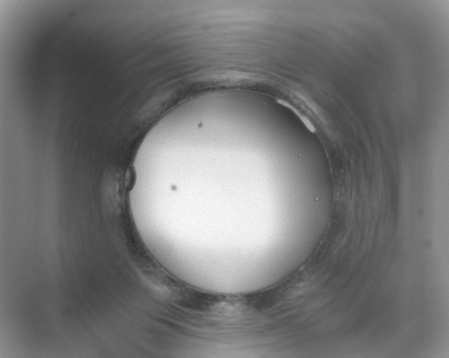 X0000073860119200608312037