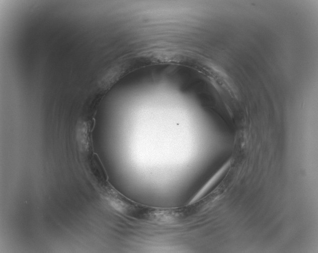 X0000073860121200608312037