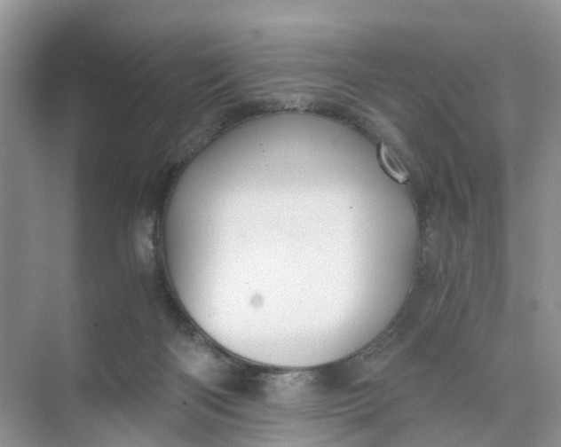 X0000073860122200608312037