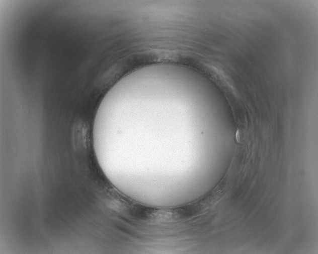 X0000073860123200608312037