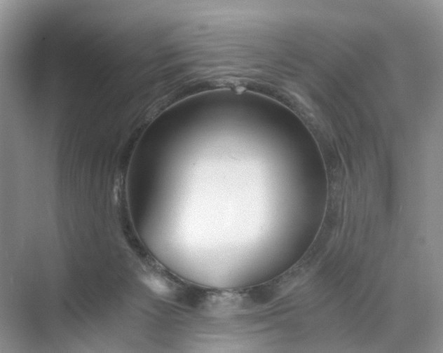 X0000073860125200608312036