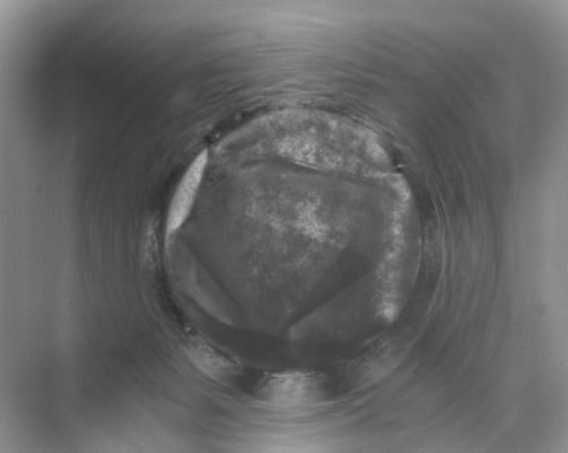 X0000073860127200608312036