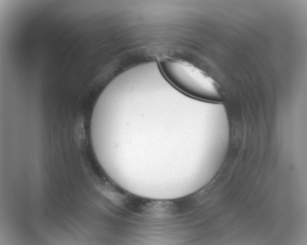 X0000073860128200608312036