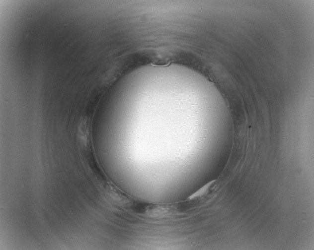 X0000073860129200608312036