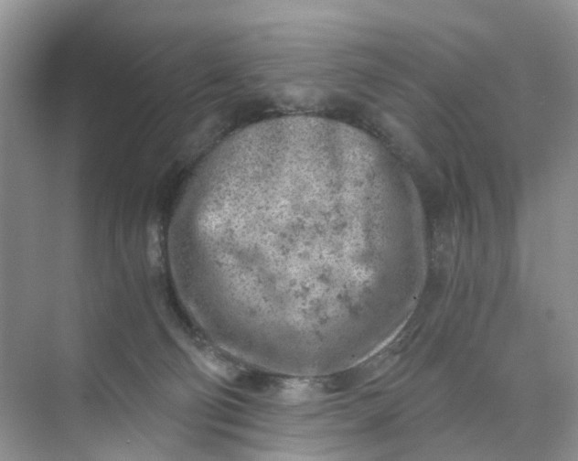 X0000073860130200608312036