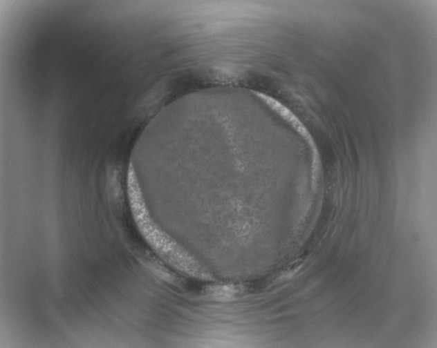 X0000073860131200608312036