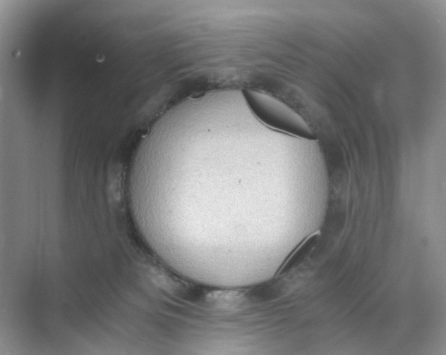 X0000073860133200608312036