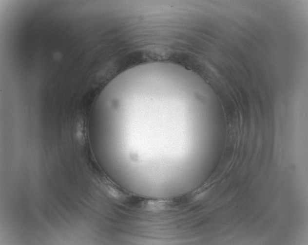 X0000073860134200608312036