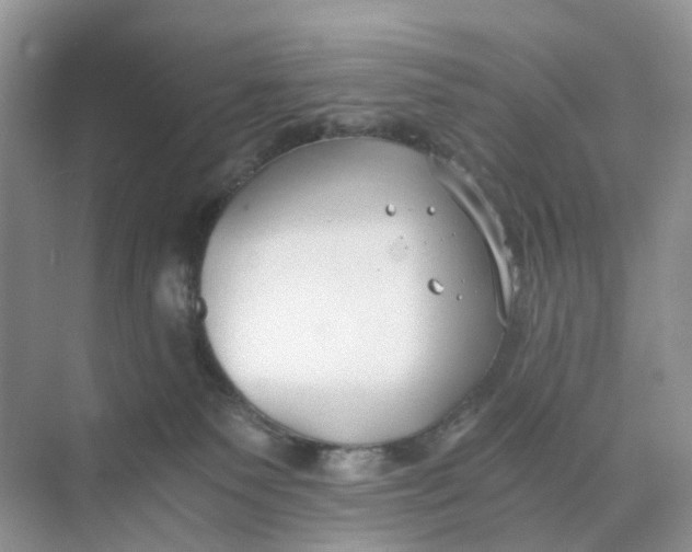 X0000073860135200608312036