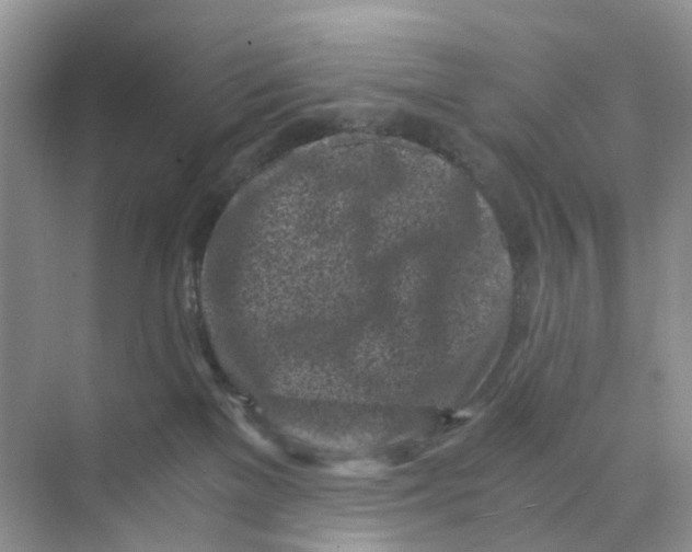 X0000073860137200608312036