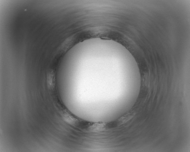 X0000073860138200608312036