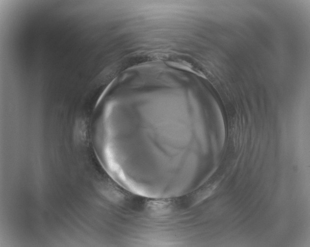 X0000073860139200608312036