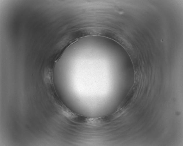 X0000073860141200608312036