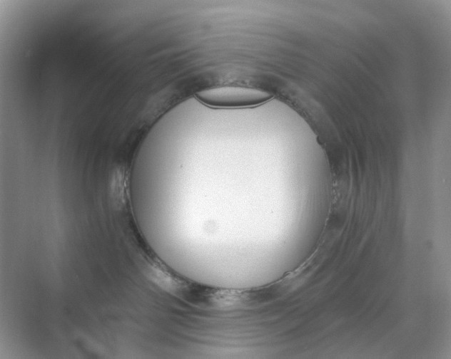 X0000073860142200608312036