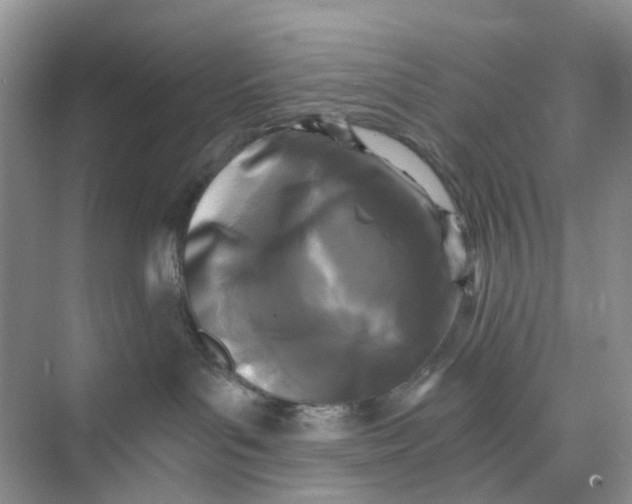 X0000073860143200608312036