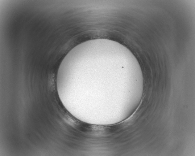 X0000073860144200608312036