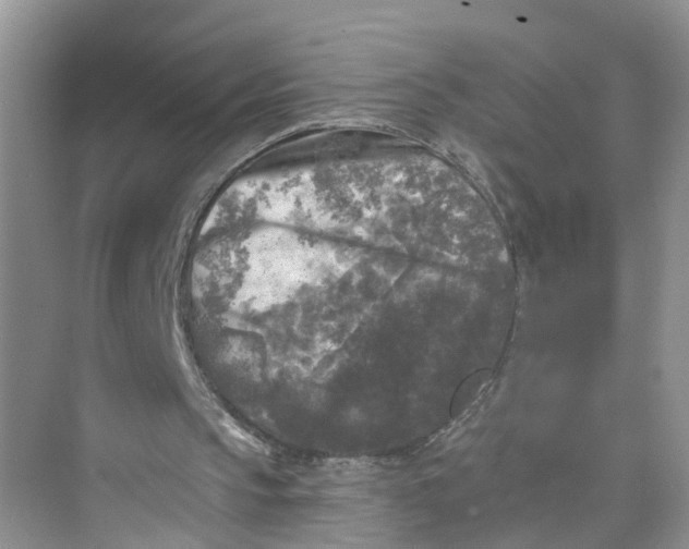 X0000073860145200608312035